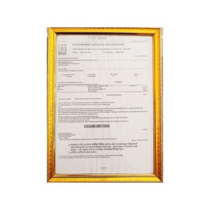 Municipal Corporation Enlistment Certificate of Murti Packers and Movers for 2024-2025